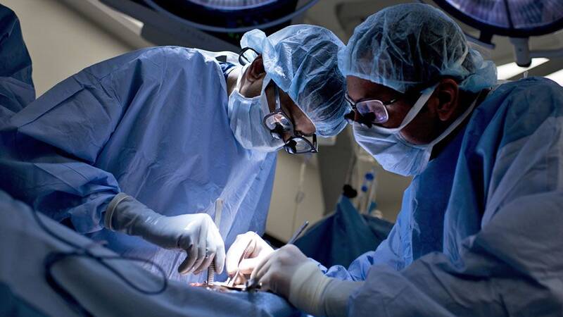 عجیب و غریبترین پدیدههای دنیای پزشکی/ پول بدهید برایتان بیمار بیاوریم!