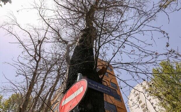 ماجرای فیلمی که به جریمه ۱۱۷ میلیارد تومانی منجر شد