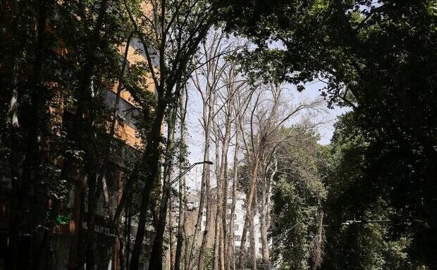 ماجرای فیلمی که به جریمه ۱۱۷ میلیارد تومانی منجر شد