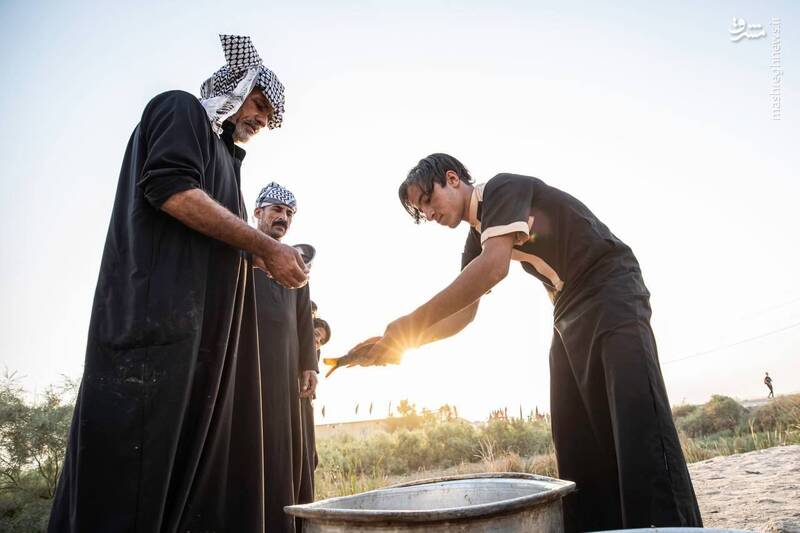 عکس/ ماهی صلواتی در مسیر کربلا