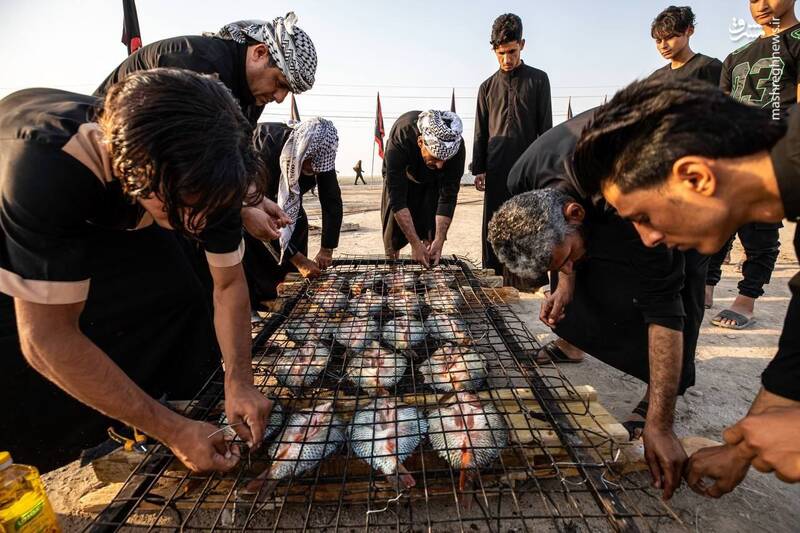 عکس/ ماهی صلواتی در مسیر کربلا