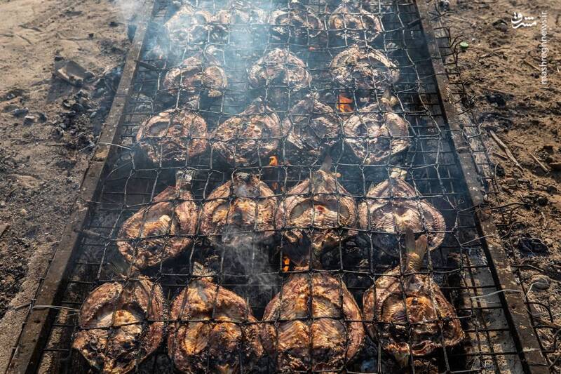 عکس/ ماهی صلواتی در مسیر کربلا