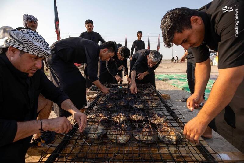 عکس/ ماهی صلواتی در مسیر کربلا