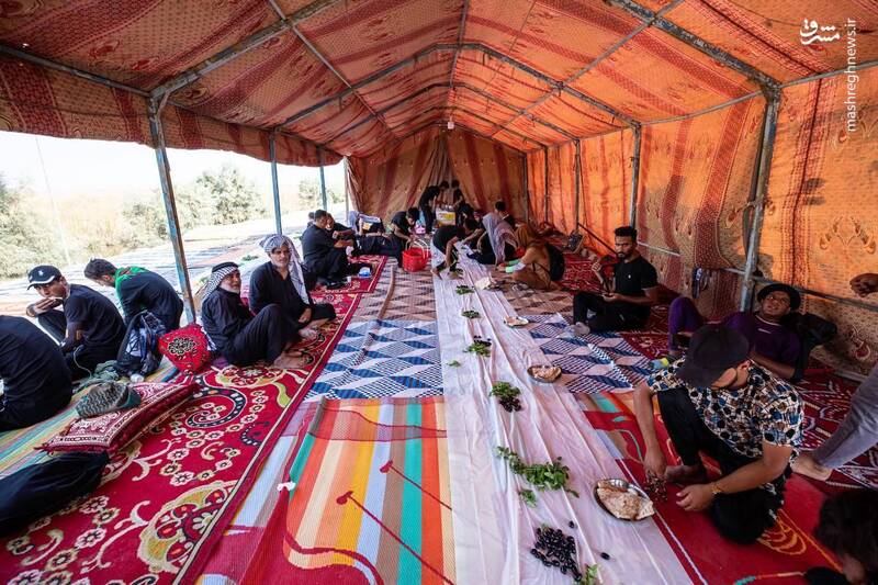 عکس/ ماهی صلواتی در مسیر کربلا