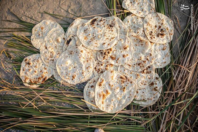 موکب نان پزی توسط خانم ها در جنوب عراق+ عکس