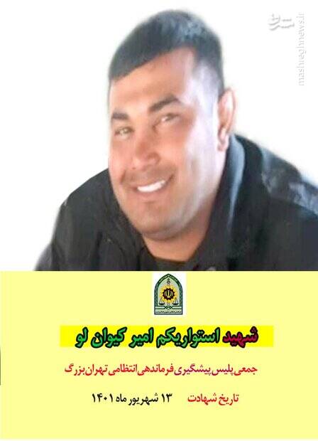 ضربه چاقوی سارق بر قلب مامور پلیس +عکس