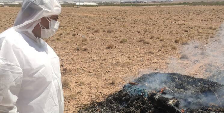 جزئیات حمله گرگ به ۷ نفر از اهالی روستای آبگرم