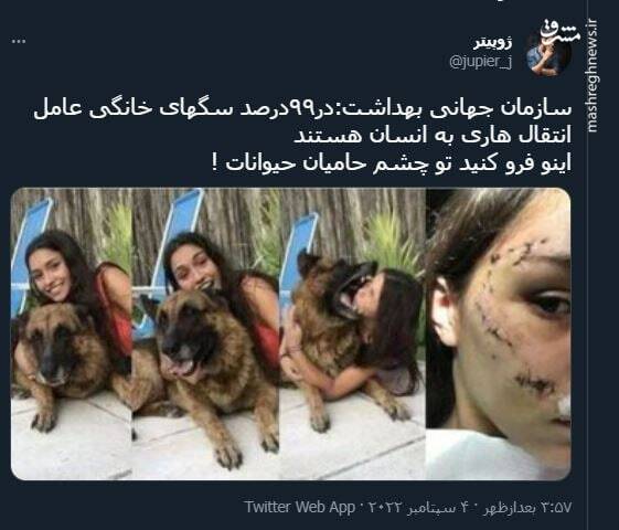 اینو فرو کنید تو چشم حامیان حیوانات !+ عکس