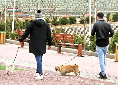 شلیک به اراذل کت و شلواری؛ شاید وقتی دیگر/ پارکهای تهران دیگر برای کودکان امن نیست