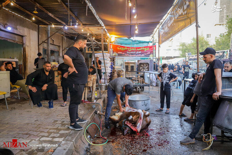 عکس/ پذیرایی از زائران اربعین در مواکب