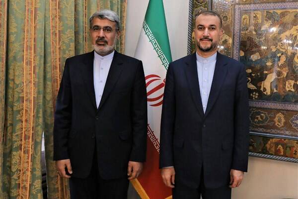 دیدار نماینده جدید ایران در دفتر سازمان ملل در ژنو با امیرعبداللهیان