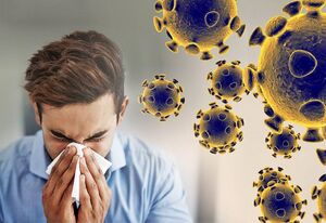 سونامی آنفلوانزا در راه است؟