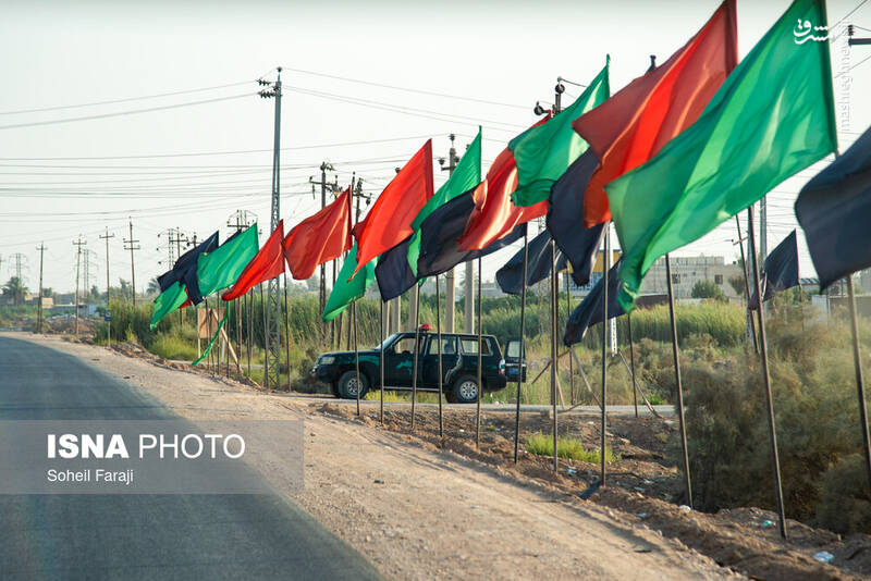 عکس/ پیاده روی اربعین در مسیر نجف به کربلا