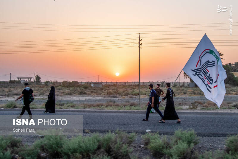 عکس/ پیاده روی اربعین در مسیر نجف به کربلا