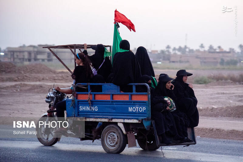 عکس/ پیاده روی اربعین در مسیر نجف به کربلا