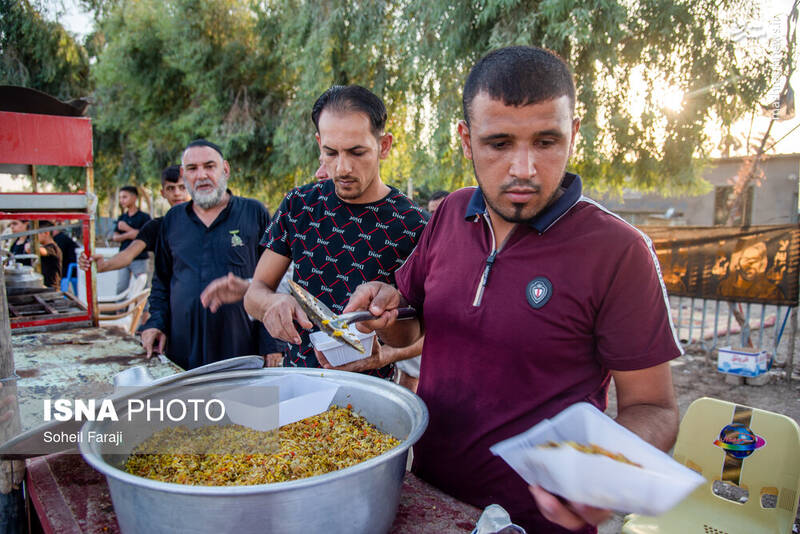 عکس/ پیاده روی اربعین در مسیر نجف به کربلا