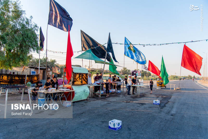 عکس/ پیاده روی اربعین در مسیر نجف به کربلا