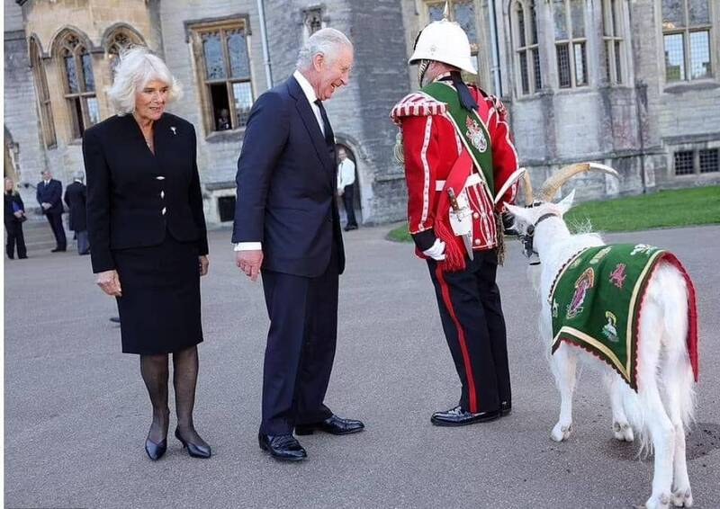 بُز گردان سلطنتی انگلیس در مراسم اعلام پادشاهی چارلز سوم +عکس
