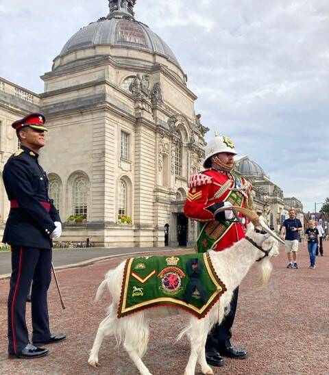 بُز گردان سلطنتی انگلیس در مراسم اعلام پادشاهی چارلز سوم +عکس