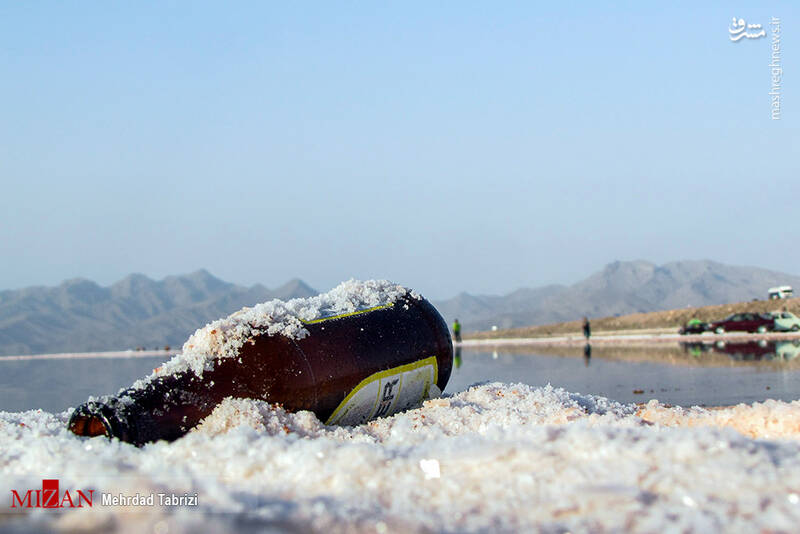 عکس/ طبیعت در تسخیر زبالهها