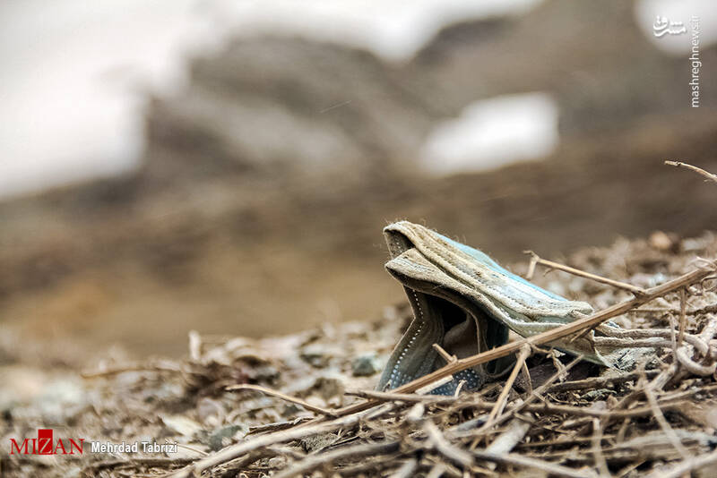 عکس/ طبیعت در تسخیر زبالهها