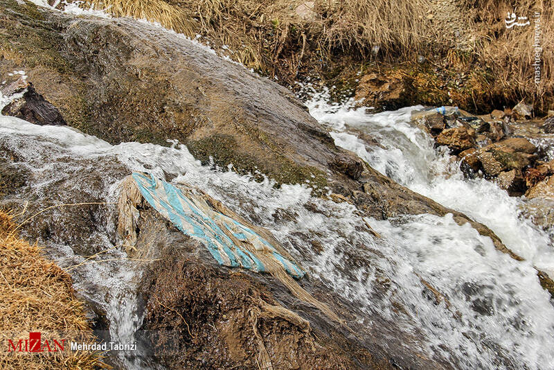 عکس/ طبیعت در تسخیر زبالهها