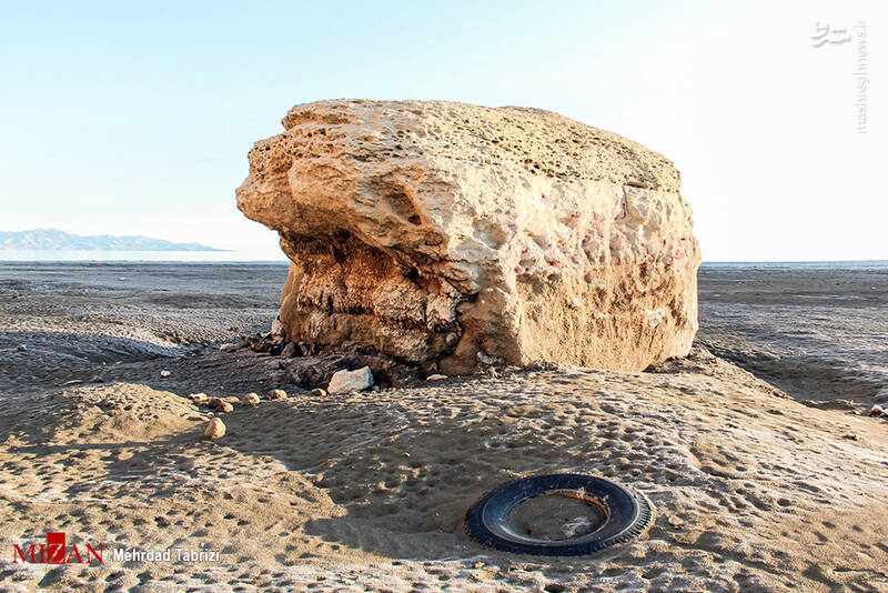 عکس/ طبیعت در تسخیر زبالهها