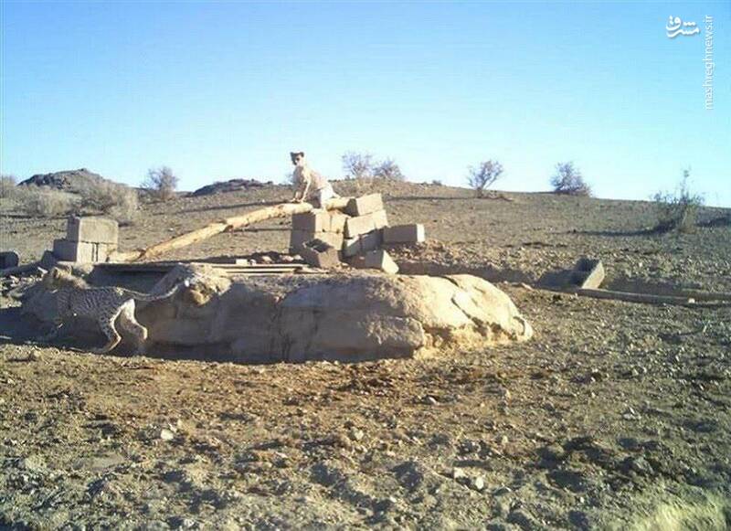 مشاهده یک یوز به همراه ۴ توله اش در منطقه توران+ عکس