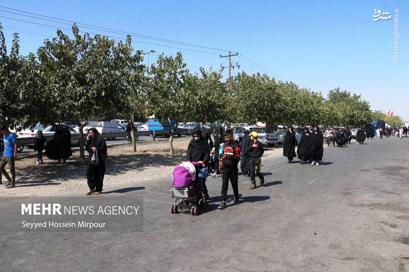 عکس/ قدم به قدم تا حرم سلطان زمین و زمان