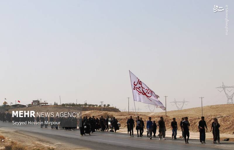 عکس/ قدم به قدم تا حرم سلطان زمین و زمان