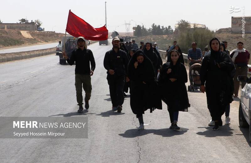 عکس/ قدم به قدم تا حرم سلطان زمین و زمان