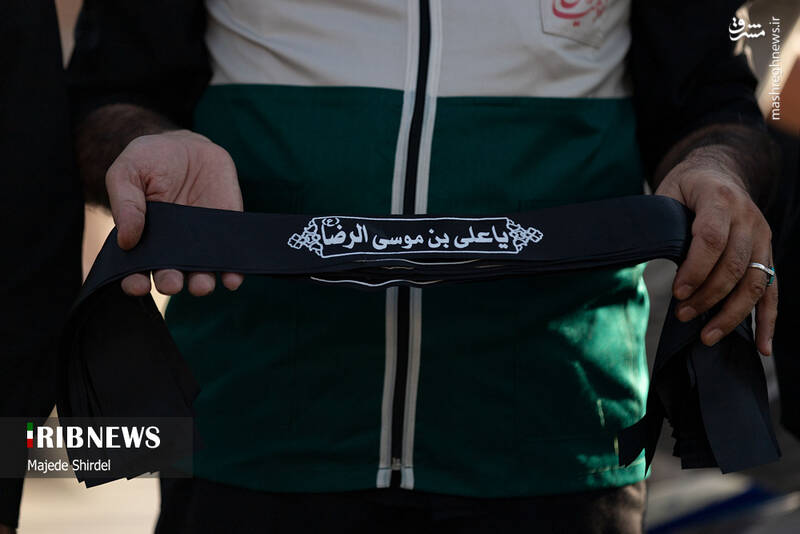 عکس/ تجمع امام رضاییها در همدان