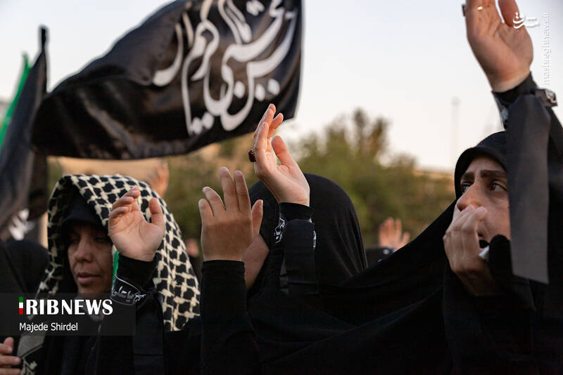 عکس/ تجمع امام رضاییها در همدان