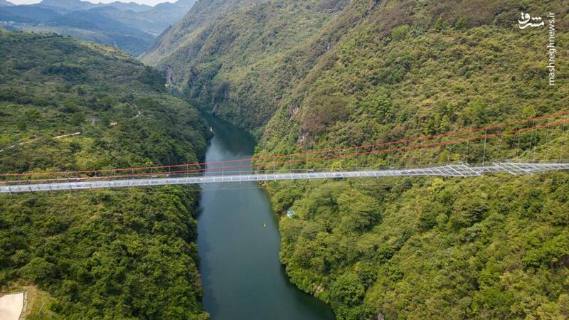 تصاویر هوایی از پل شیشهای معلق در چین