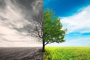 کدام اعمال خوب میتوانند اعمال بد را از بین ببرند؟