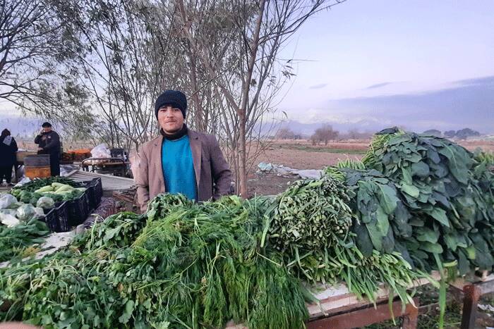 تفریح با کمترین هزینه در جنوب شهر | از یخدان ترشنبه تا بازار ارزانفروشهای یاران و شریعتی