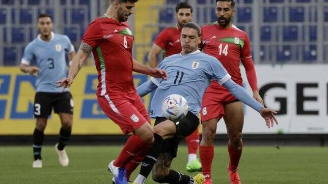 تیم ملی به ثبات رسیده است/ به رنکینگ فیفا اعتماد نکنید