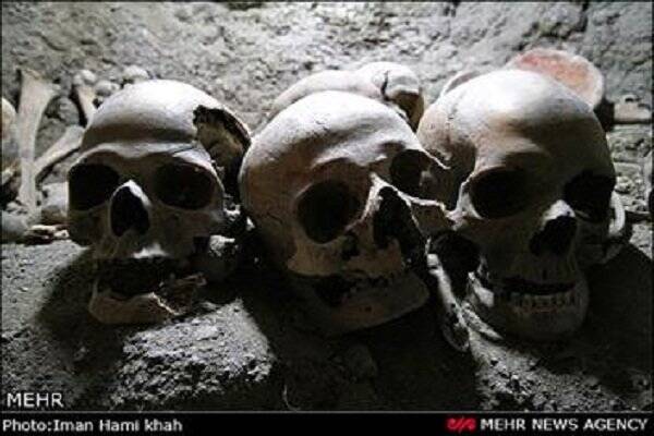 جذابیتهای زندگی مخفیانه در زمین