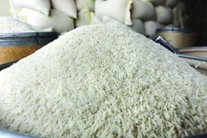 قیمت انواع برنج ایرانی و پاکستان در میادین چند است؟