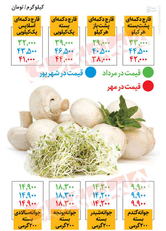 جدیدترین قیمت قارچ +جدول