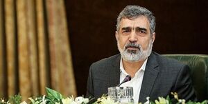 کمالوندی: بزودی خبرهای خوبی در حوزه راکتور و رادیودارو اعلام میشود