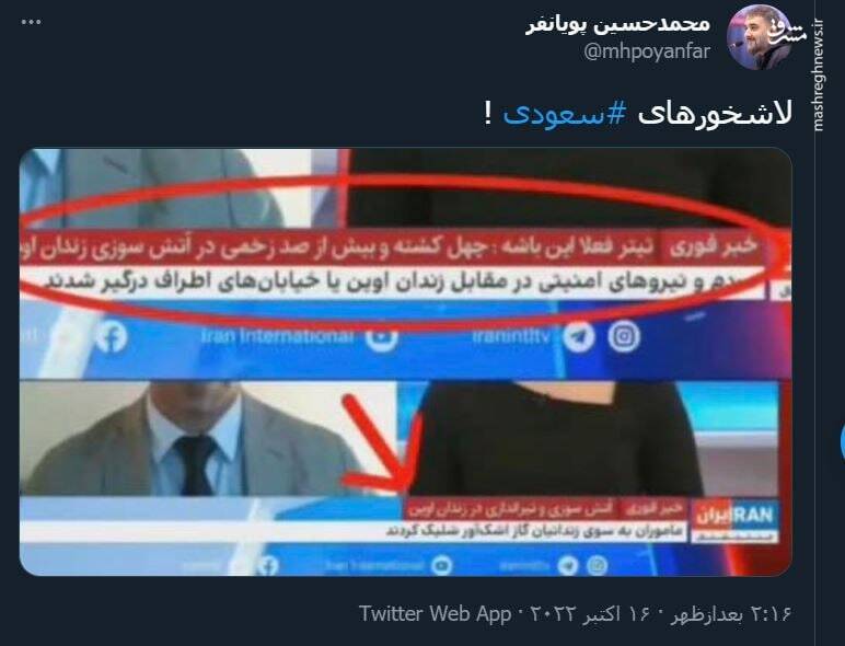 لاشخورهای سعودی !+ عکس