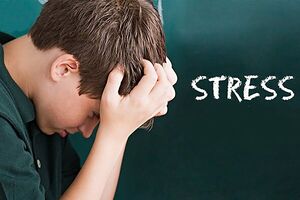 استرس چه تاثیری روی اشتها دارد؟ استرس چه تاثیری بر اشتها دارد؟