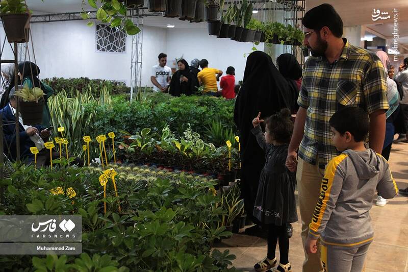 عکس/ نمایشگاه گل و گیاه یزد