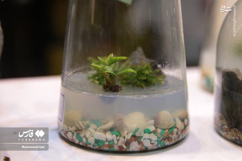 عکس/ نمایشگاه گل و گیاه یزد