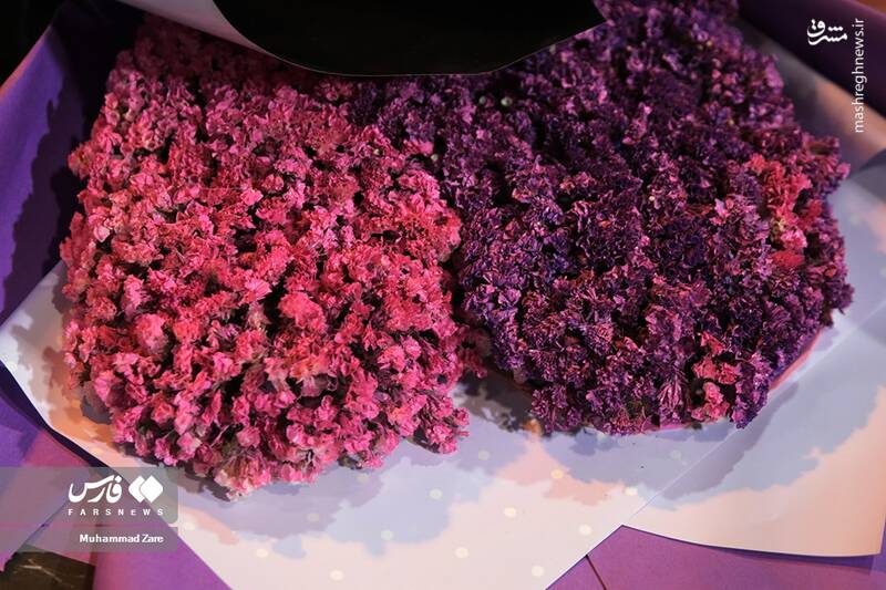 عکس/ نمایشگاه گل و گیاه یزد