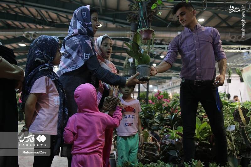 عکس/ نمایشگاه گل و گیاه یزد