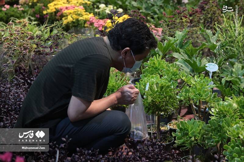 عکس/ نمایشگاه گل و گیاه یزد