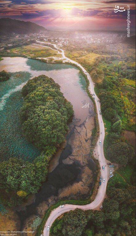 عکس/ ایستگاه نیلوفران لاهیجان