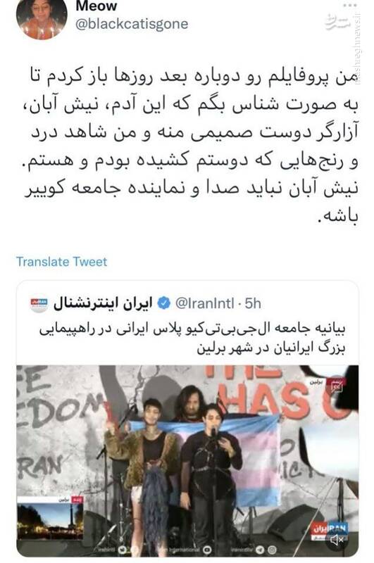 پشت پرده برگزاری سیرک نئونازیها با هزار پرچم/ فروریختن دیوار توهم ساندنیستها با ساندیس در برلین!